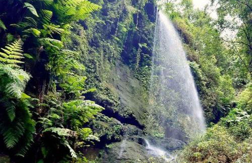 Apartamento Any - Foto 17