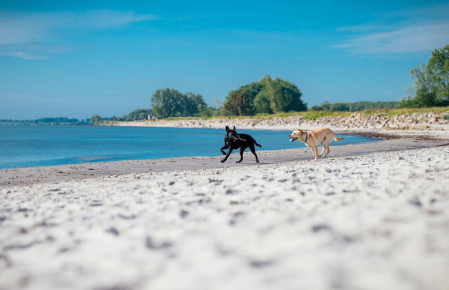 Holiday Home in Damp for 6 Person - Foto 37