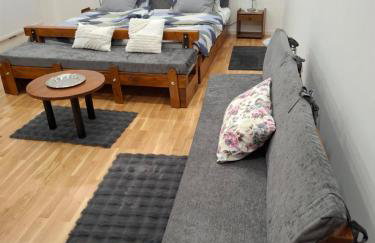 GAG Apartment in TRAM zone with FREE PARKING in front of the house - Photo 3
