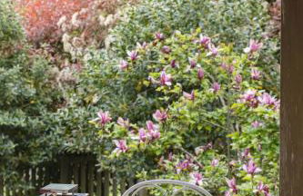 La Coqueta Del Sueve - Photo 61