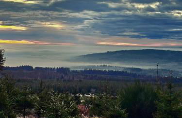 Hunsrücker Tiny Ferien L - Foto 45