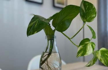 Geysotur Puerta de la Axerquía Parking Gratis - Foto 8