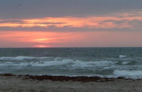 Cozy Coastal Condo - Foto 27