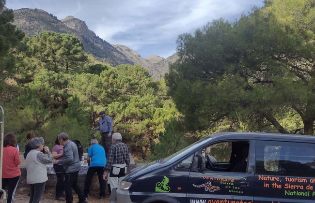 Tour en 4x4 por el Parque Nacional Sierra de las Nieves - Foto 3