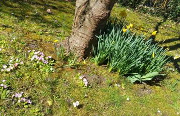 Cabane bleue des Hortillonnages - Foto 31