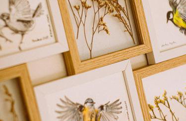 Przewietrzona Głowa - Foto 39