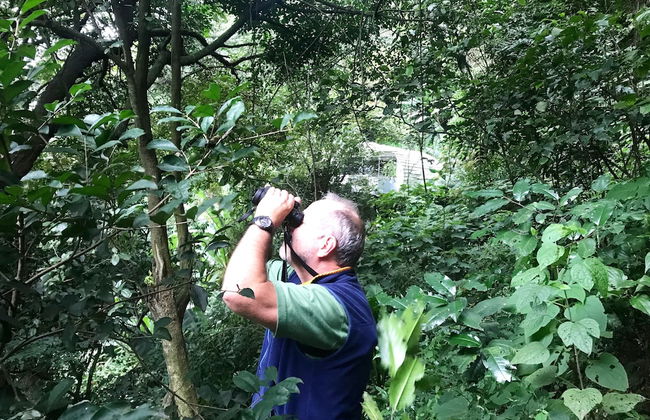 Finca El Tambor - Foto 40