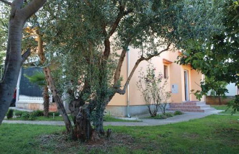 Studio Apartments Izabela - Photo 7