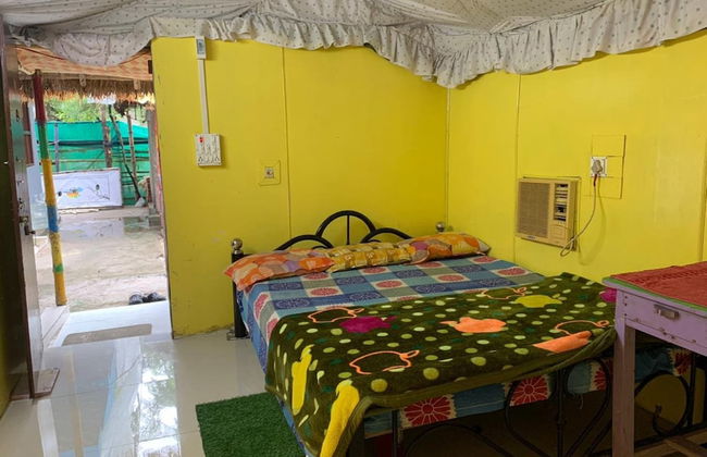 Holud Pakhi - Foto 4