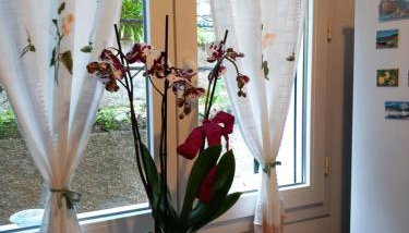 Il Paradiso di Adriana - Foto 2