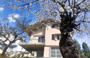 Valtellinda - Foto 18