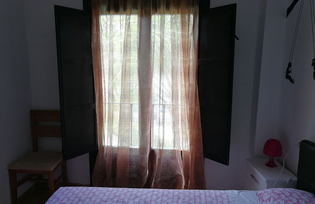 Velez Nazari - Photo 34