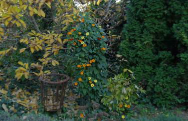 Ferienwohnung im Neubauernweg 3 - Foto 16