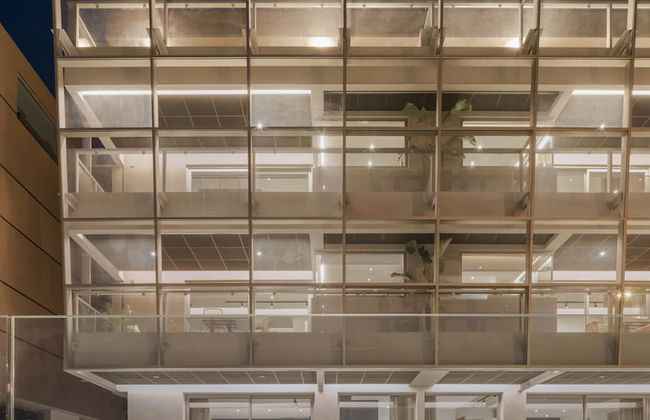 3 Olive Trees - Foto 69