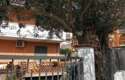 Loft Karol Taormina - Foto 19