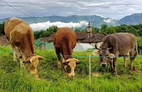 La casetta di Elsa - Foto 15