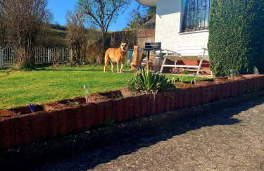 Eifel Urlaub mit Hunden Ferienhaus Schwalbennest Schalkenmehren - Foto 2