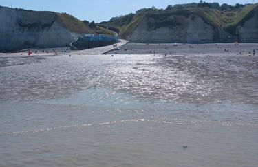 les galets de Normandie - Foto 17