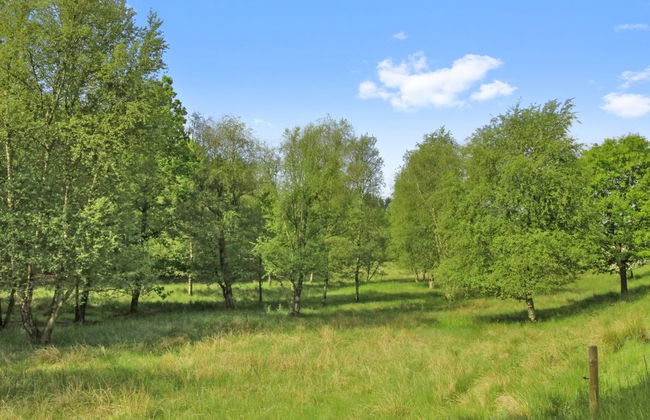 "Terese" - 45km from the sea - Photo 7