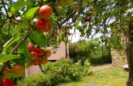 Borgata Castello - Foto 24