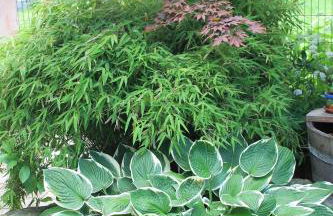 FeWo Alte Post - Foto 14