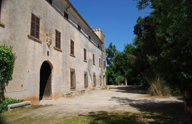 Finca Son Vivot - Photo 45