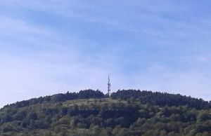 La maison D'Orée - Foto 19