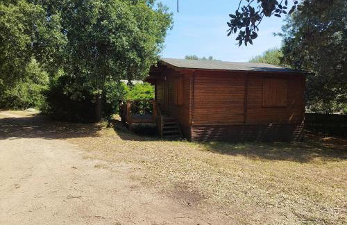 chalets bois 150m de la plage - Foto 32