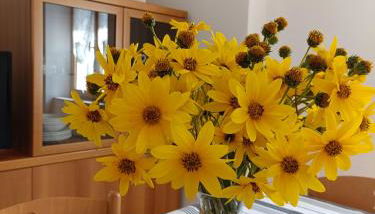 Appartamenti Viola Walter - Photo 2