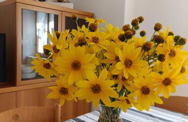 Appartamenti Viola Walter - Photo 2