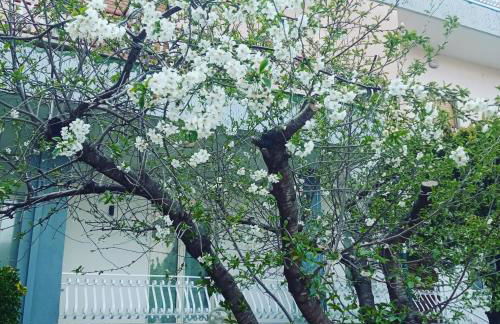 Rachel's guest apartments - Foto 7