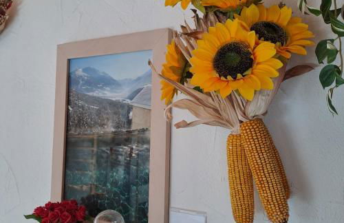 Valtellina Grosotto Holidays - Foto 27