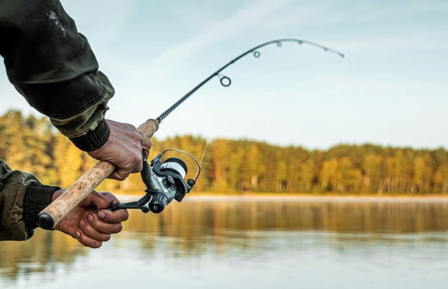Cottage With Fireplace, Right on the Lake, Ryn - Foto 21