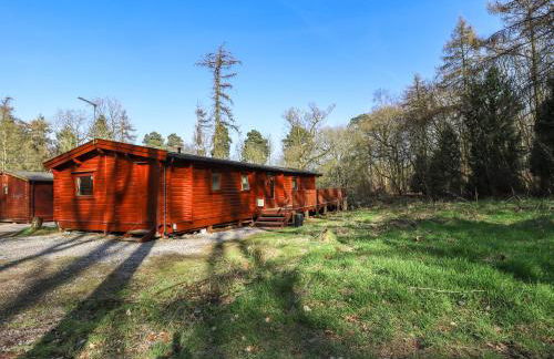 Forest Lodge Kenwick Park - Foto 3