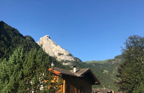 Cesa Mandi e Miky - Foto 14