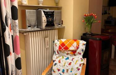 i tulipani - Foto 39