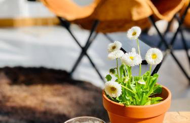 Apartamenty Piwniczna - Foto 11