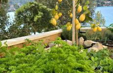 Villa Ružmarin - Foto 3