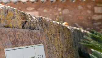 Agroturismo Sa Pletassa - Foto 5, Garden view