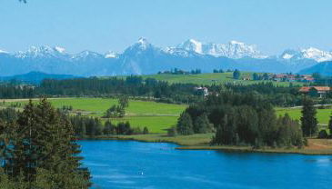 Urheim Rose - Dogfriendly - Foto 3