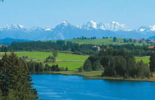 Urheim Rose - Dogfriendly - Foto 3