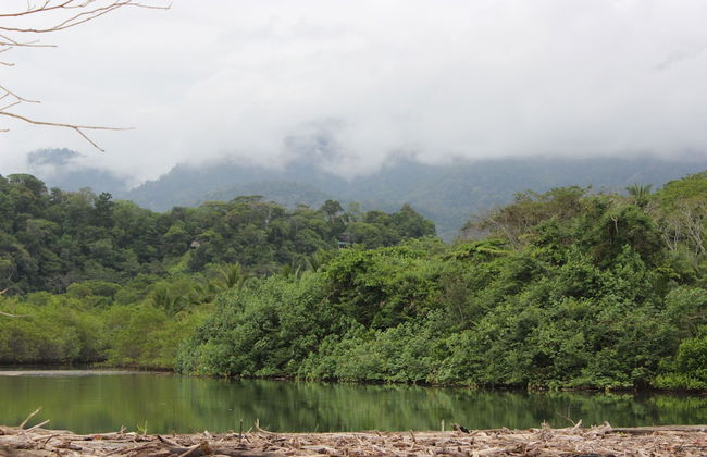 Villas de Oros - Foto 35