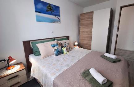 Villa Marin Smoljanci - Foto 72