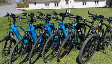 Reetdachhaus, Sauna, E-Bikes, 6 Personen - Foto 3, Garden