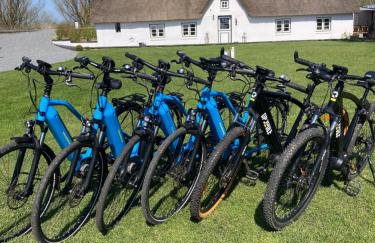 Reetdachhaus, Sauna, E-Bikes, 6 Personen - Foto 3