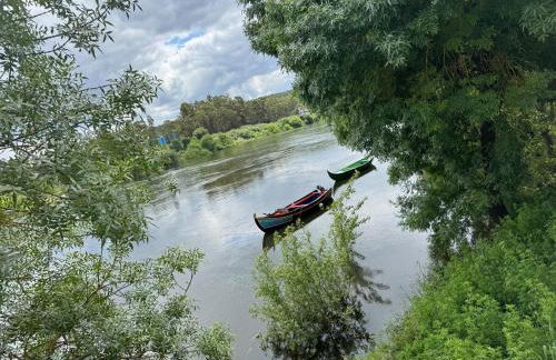 Casa Turquesa Pet-Friendly, Riverfront Home - Foto 34