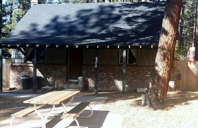 825 Julie Lane - Foto 12