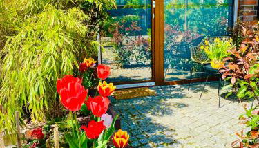 Schöne Aussichten mitten in Berlin - il sole - Foto 2, Garden