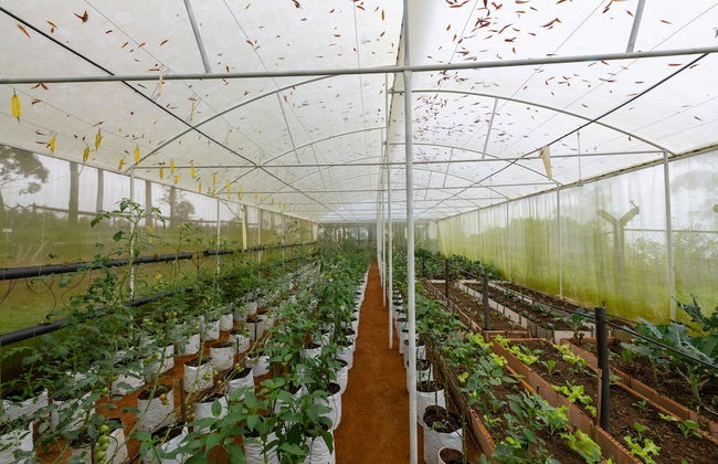 The Cavern - Foto 38