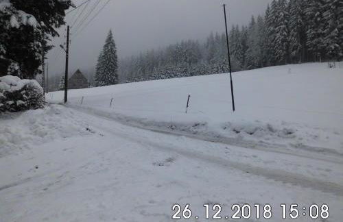 Waldhaus, Ski- und Wanderhütte - Foto 4